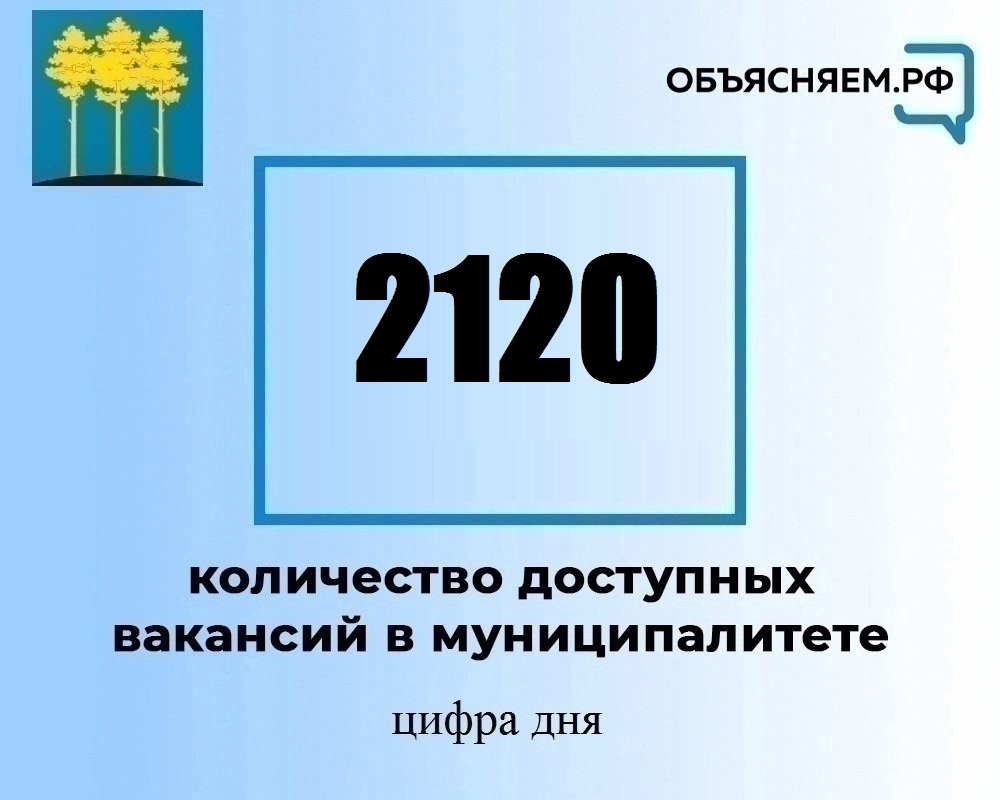 Актуальные вакансии в Димитровграде на 11 марта.