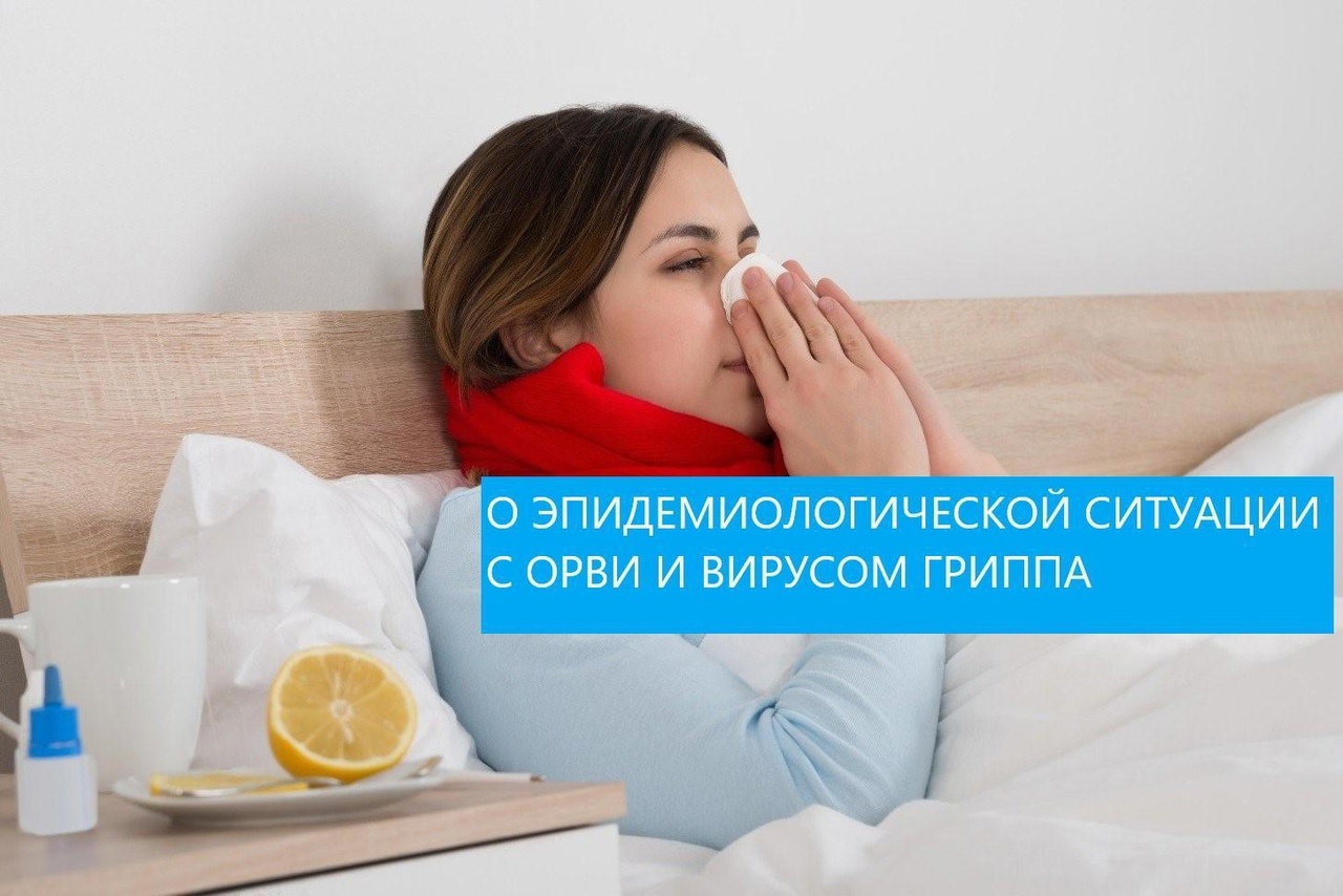 О ситуации с заболеванием ОРВИ и вирусом гриппа в Димитровграде.