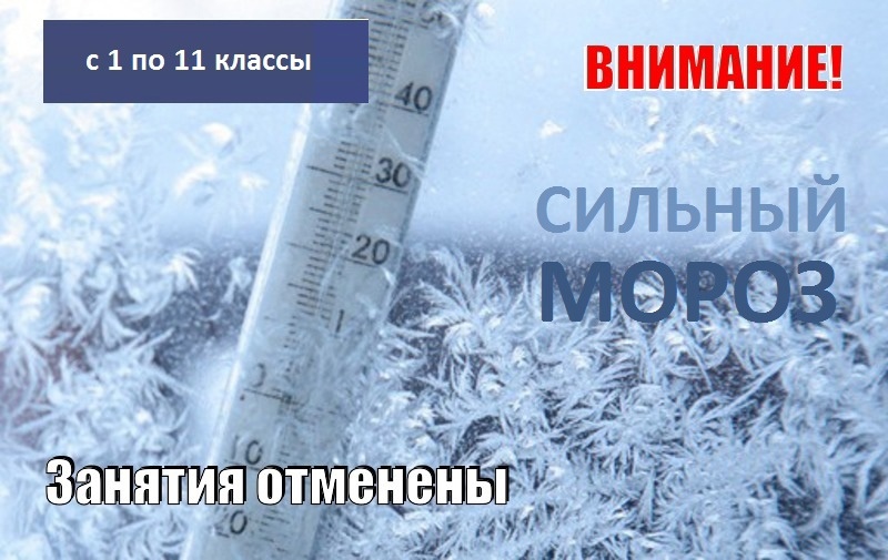 В субботу 09 декабря из-за сильного мороза отменяются занятия в школах Димитровграда с 1 по 11 классы в обе смены.