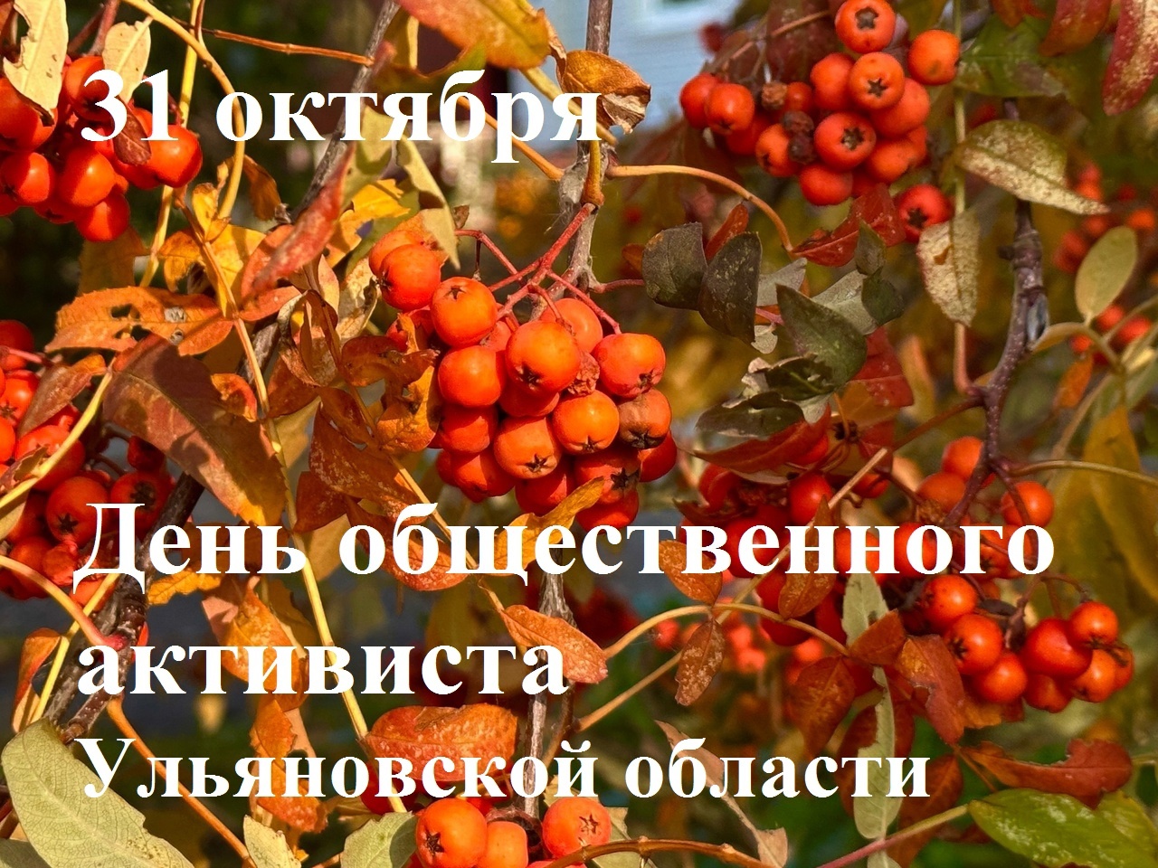 31 октября - День общественного активиста в Ульяновской области.