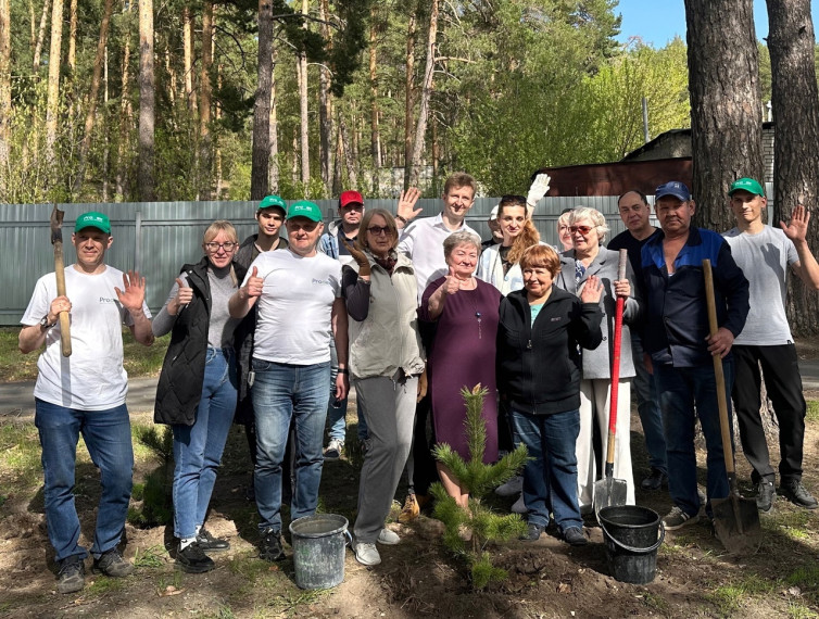 В четверг 25 апреля в разных уголках Димитровграда были высажены саженцы сосен в рамках проекта "Город в лесу или лес в городе".