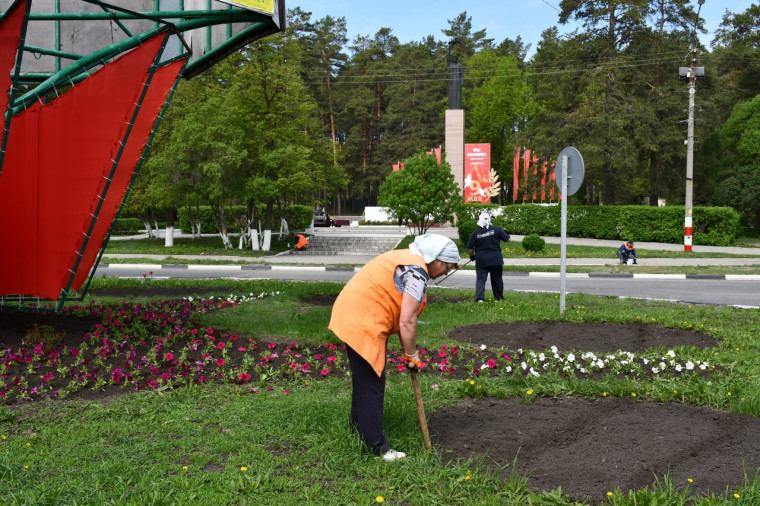 В город 28 апреля поступила первая партия цветочной рассады. Идёт высадка петуний на клумбы в районе Аллеи Славы.