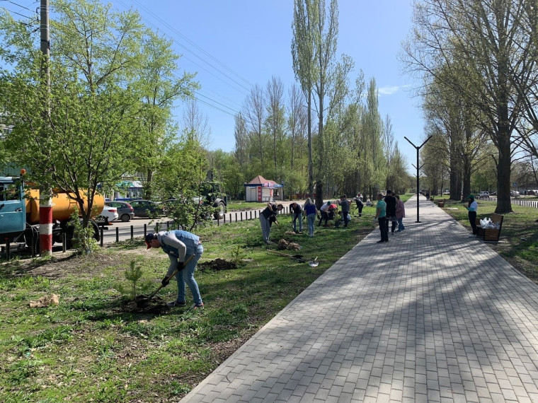 В четверг 25 апреля в разных уголках Димитровграда были высажены саженцы сосен в рамках проекта &quot;Город в лесу или лес в городе&quot;.