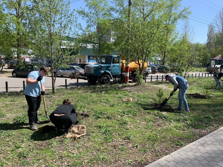 В четверг 25 апреля в разных уголках Димитровграда были высажены саженцы сосен в рамках проекта &quot;Город в лесу или лес в городе&quot;.